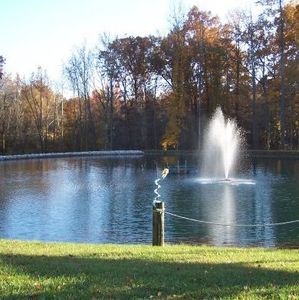 Meet your Posher, Jean